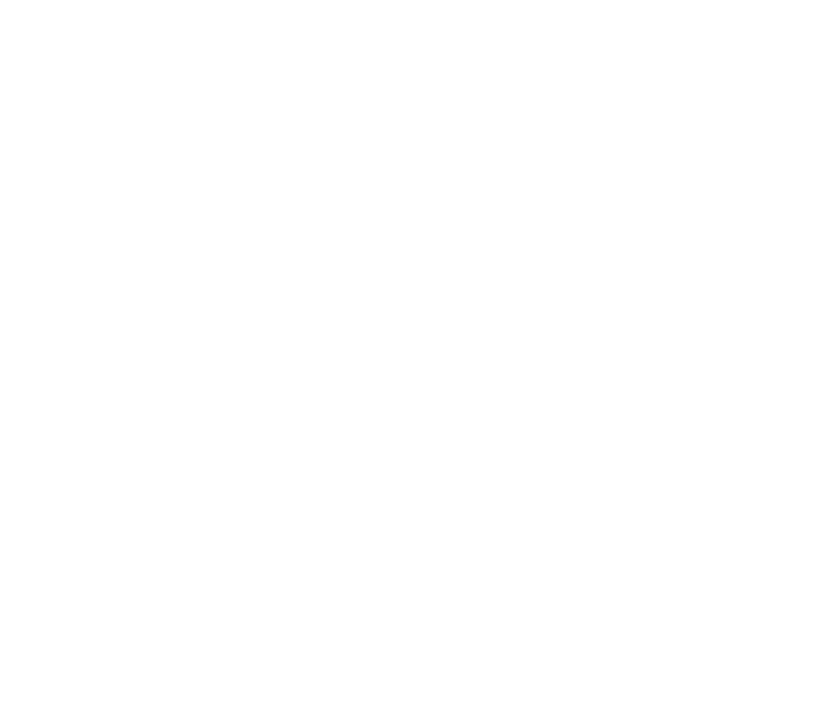VT ADAPT WHITE
